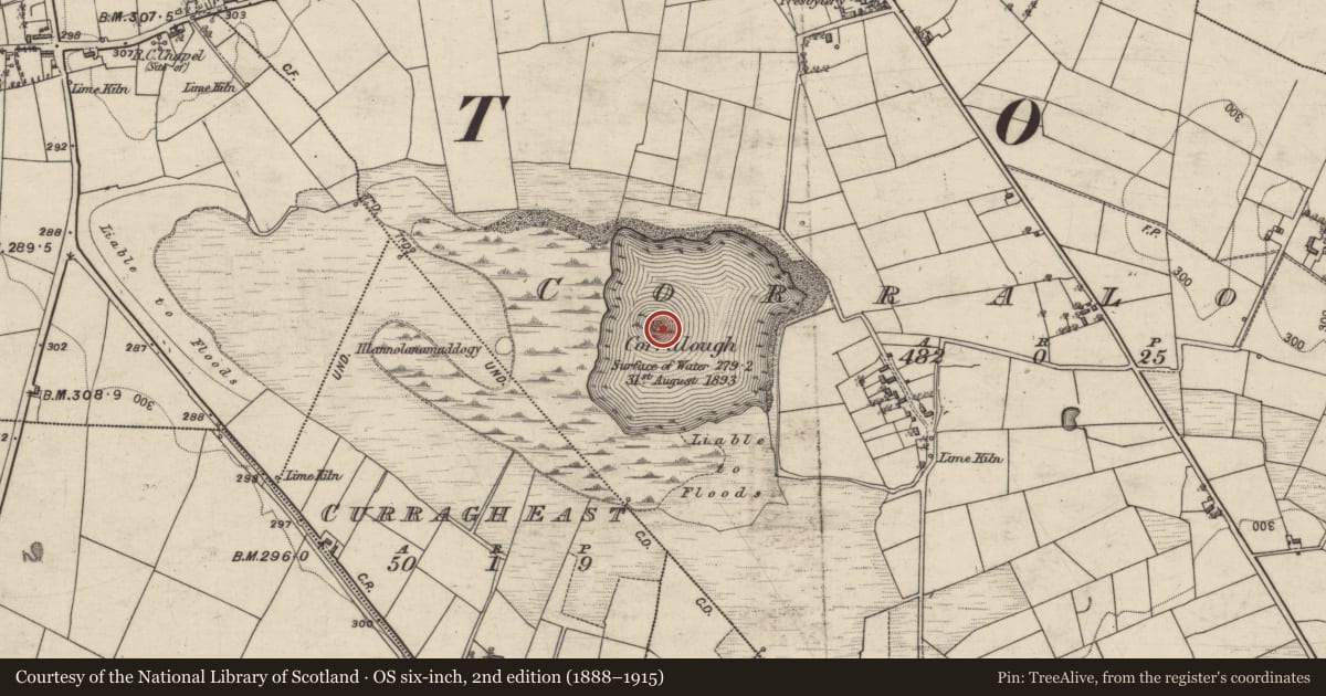 Ordnance Survey six-inch map, 2nd edition (1888–1915) covering the location of Crannog, Corralough, County Galway, with a pin at the register's coordinates