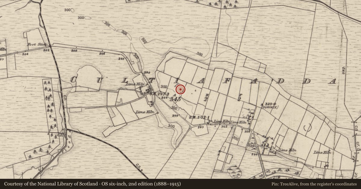 Ordnance Survey six-inch map, 2nd edition (1888–1915) covering the location of Ringfort - rath, Cultiafadda, County Galway, with a pin at the register's coordinates