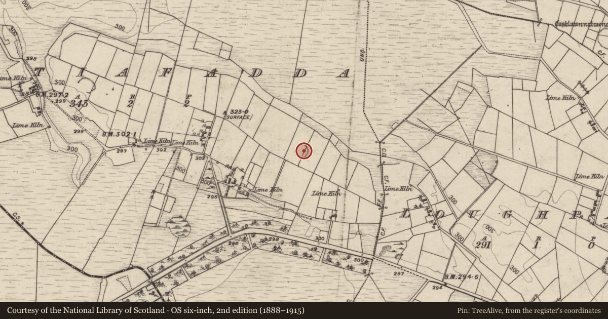 Ordnance Survey six-inch map, 2nd edition (1888–1915) covering the location of Enclosure, Cultiafadda, County Galway, with a pin at the register's coordinates