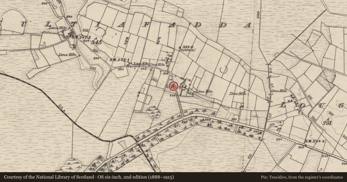 Ordnance Survey six-inch map, 2nd edition (1888–1915) covering the location of Ringfort - unclassified, Cultiafadda, County Galway, with a pin at the register's coordinates