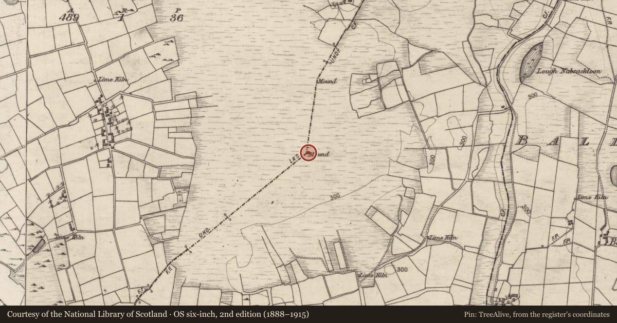 Ordnance Survey six-inch map, 2nd edition (1888–1915) covering the location of Boundary mound, Castle, Curragh West, County Galway, with a pin at the register's coordinates
