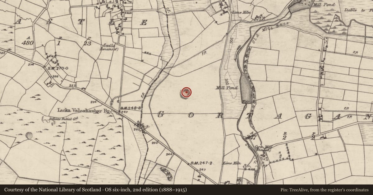 Ordnance Survey six-inch map, 2nd edition (1888–1915) covering the location of Ringfort - rath, Gortaganny, County Galway, with a pin at the register's coordinates