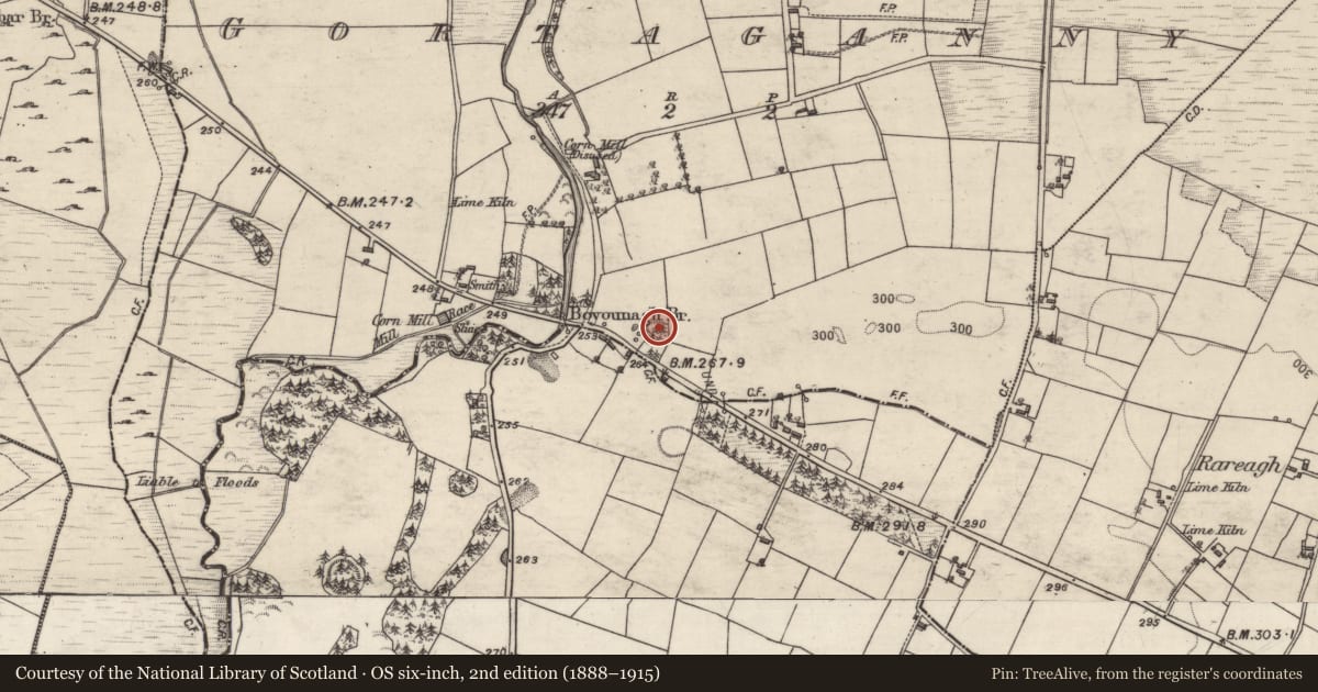 Ordnance Survey six-inch map, 2nd edition (1888–1915) covering the location of Ringfort - rath, Gortaganny, County Galway, with a pin at the register's coordinates