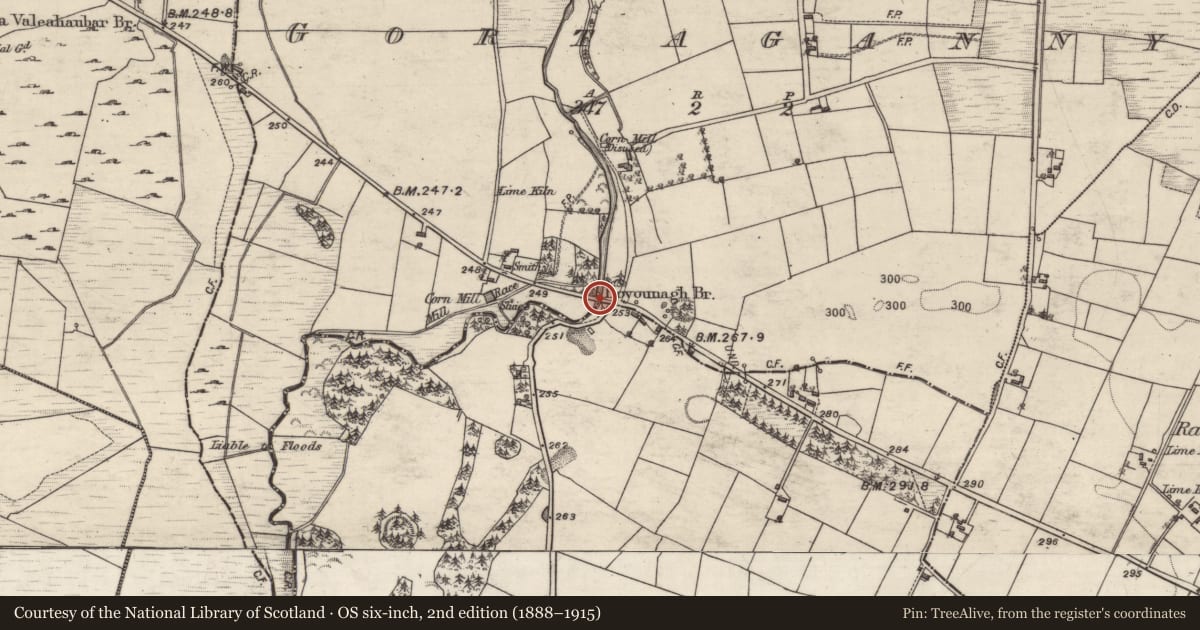 Ordnance Survey six-inch map, 2nd edition (1888–1915) covering the location of Bridge, Gortaganny, County Galway, with a pin at the register's coordinates