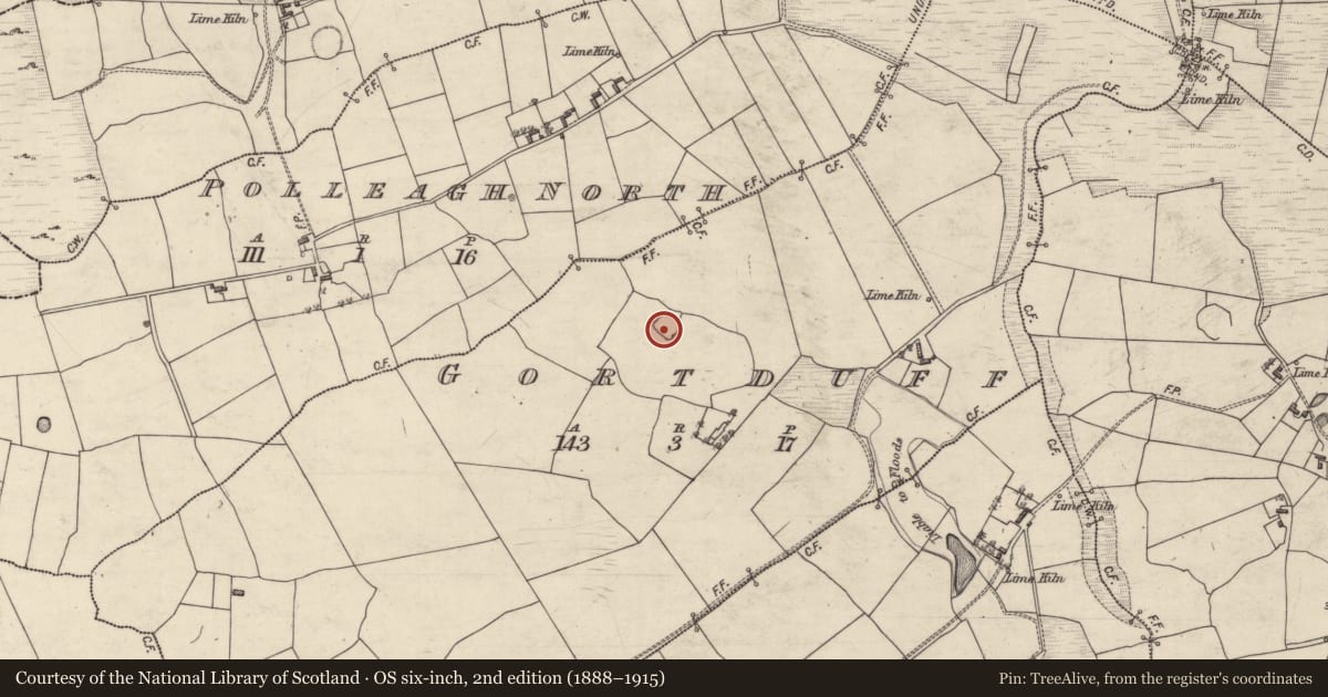 Ordnance Survey six-inch map, 2nd edition (1888–1915) covering the location of Ringfort - rath, Gortduff, County Galway, with a pin at the register's coordinates