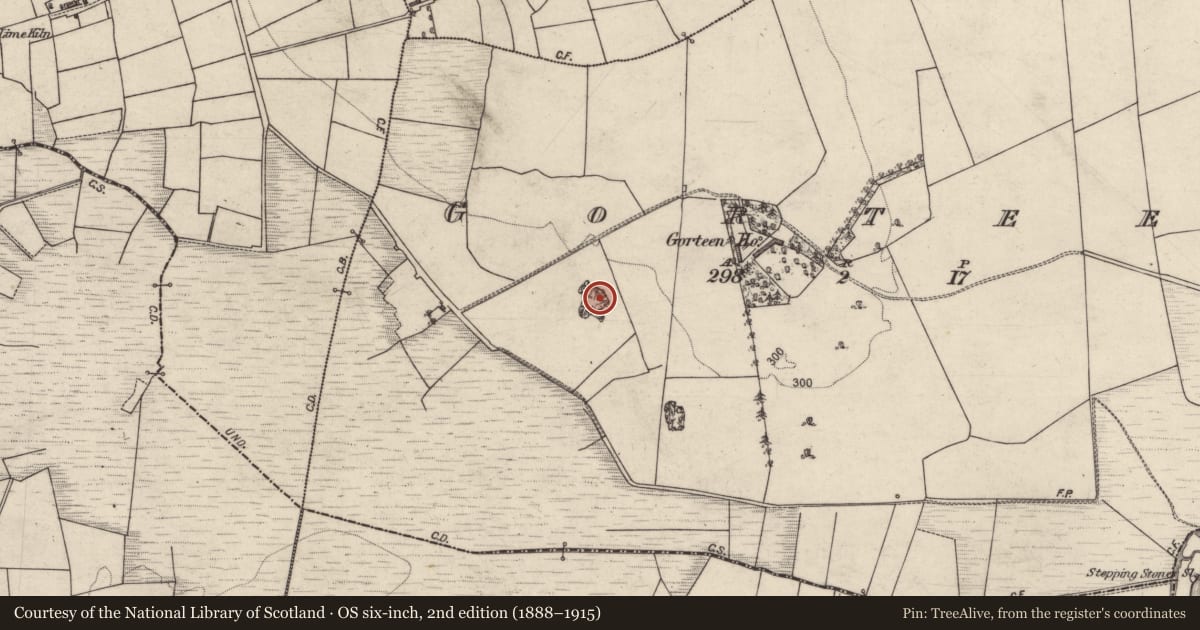 Ordnance Survey six-inch map, 2nd edition (1888–1915) covering the location of Quarry, Gorteen, County Galway, with a pin at the register's coordinates