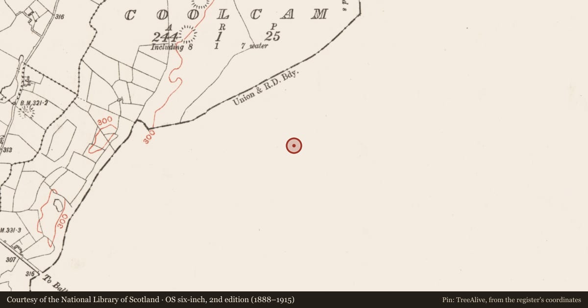 Ordnance Survey six-inch map, 2nd edition (1888–1915) covering the location of Ringfort - rath, Kildaree, County Galway, with a pin at the register's coordinates