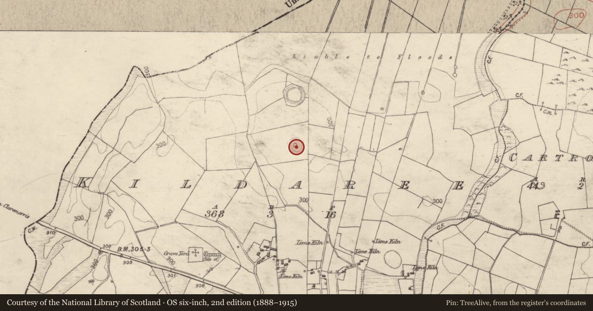 Ordnance Survey six-inch map, 2nd edition (1888–1915) covering the location of House - indeterminate date, Kildaree, County Galway, with a pin at the register's coordinates
