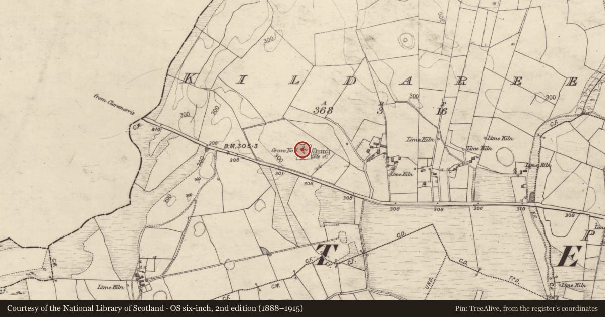 Ordnance Survey six-inch map, 2nd edition (1888–1915) covering the location of Church, Kildaree, County Galway, with a pin at the register's coordinates