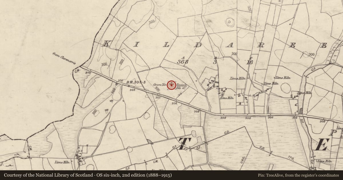 Ordnance Survey six-inch map, 2nd edition (1888–1915) covering the location of Graveyard, Kildaree, County Galway, with a pin at the register's coordinates