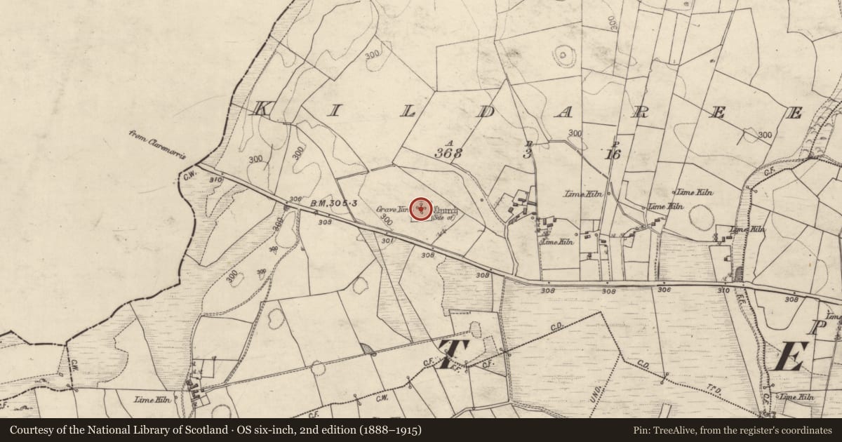 Ordnance Survey six-inch map, 2nd edition (1888–1915) covering the location of Bullaun stone, Kildaree, County Galway, with a pin at the register's coordinates