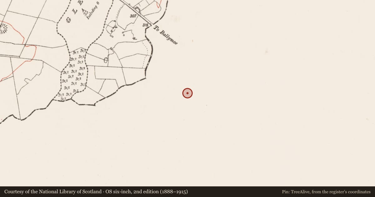 Ordnance Survey six-inch map, 2nd edition (1888–1915) covering the location of Ringfort - rath, Kildaree, County Galway, with a pin at the register's coordinates