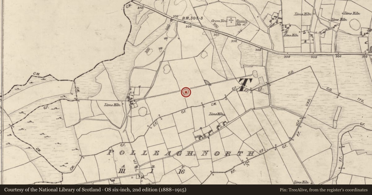 Ordnance Survey six-inch map, 2nd edition (1888–1915) covering the location of Enclosure, Kildaree, County Galway, with a pin at the register's coordinates