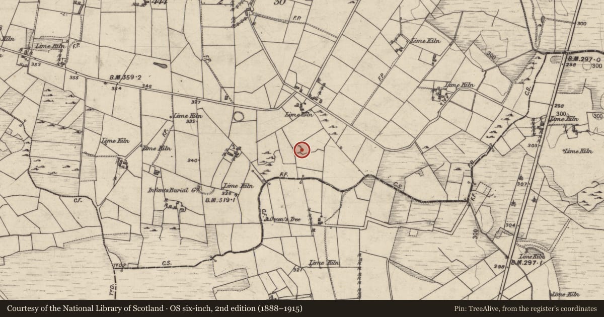 Ordnance Survey six-inch map, 2nd edition (1888–1915) covering the location of Enclosure, Kilmore, County Galway, with a pin at the register's coordinates