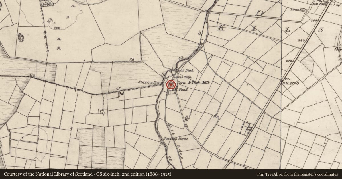 Ordnance Survey six-inch map, 2nd edition (1888–1915) covering the location of Mill - corn, Kilsallagh, County Galway, with a pin at the register's coordinates