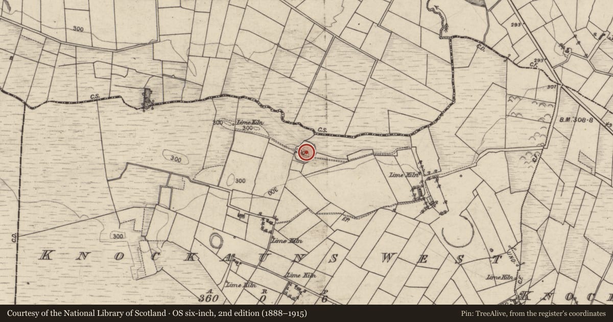 Ordnance Survey six-inch map, 2nd edition (1888–1915) covering the location of Enclosure, Knockauns West, County Galway, with a pin at the register's coordinates