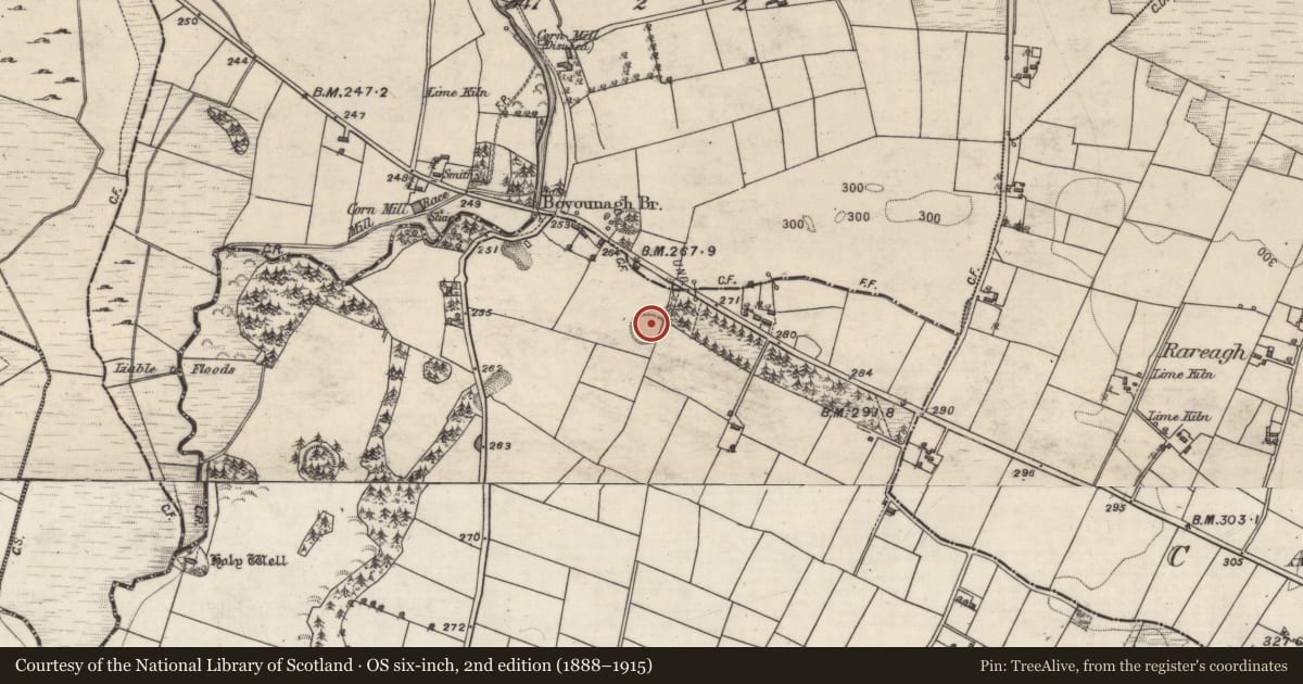 Ordnance Survey six-inch map, 2nd edition (1888–1915) covering the location of Enclosure, Lisheennaheltia, County Galway, with a pin at the register's coordinates