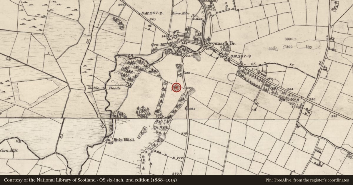 Ordnance Survey six-inch map, 2nd edition (1888–1915) covering the location of Enclosure, Lisheennaheltia, County Galway, with a pin at the register's coordinates