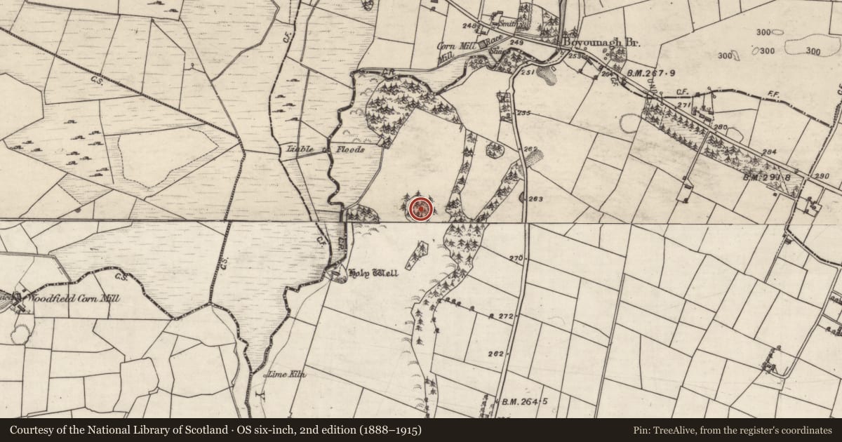 Ordnance Survey six-inch map, 2nd edition (1888–1915) covering the location of Ringfort - rath, Lisheennaheltia, County Galway, with a pin at the register's coordinates