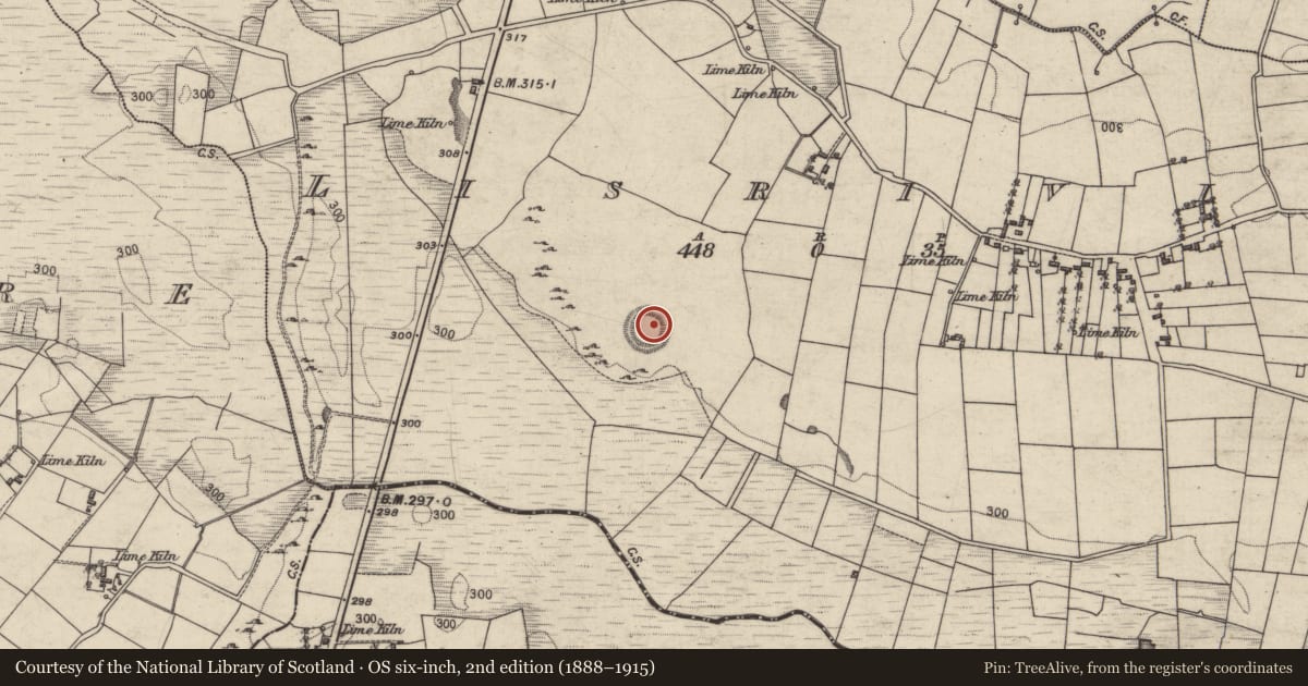 Ordnance Survey six-inch map, 2nd edition (1888–1915) covering the location of Ringfort - rath, Lisrivis, County Galway, with a pin at the register's coordinates