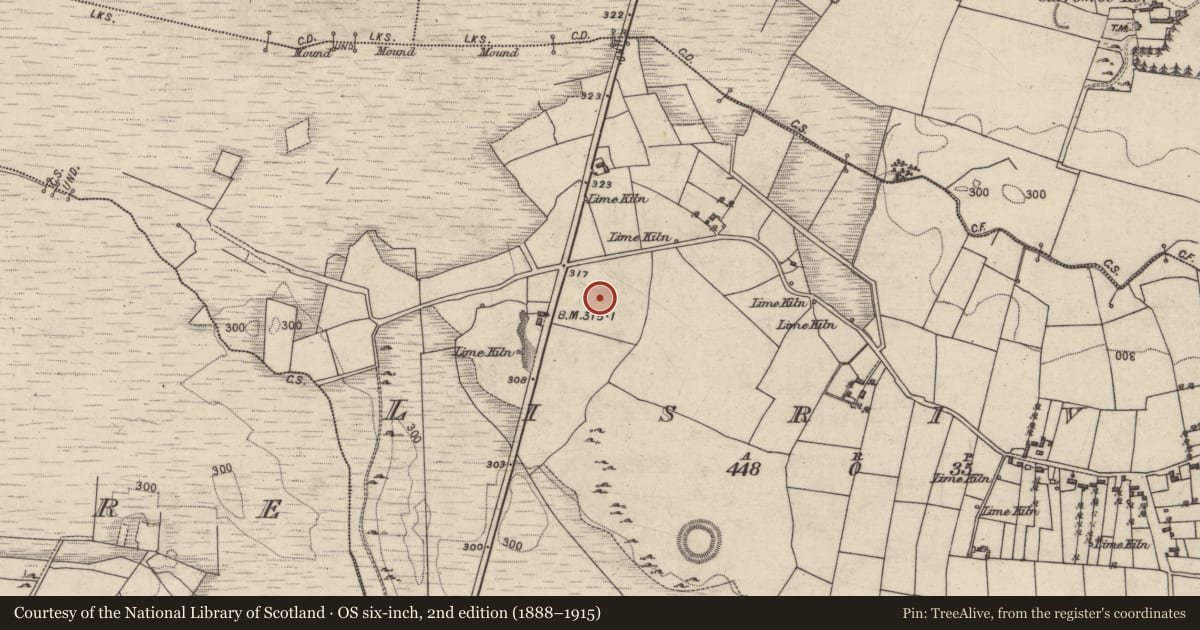 Ordnance Survey six-inch map, 2nd edition (1888–1915) covering the location of Enclosure, Lisrivis, County Galway, with a pin at the register's coordinates
