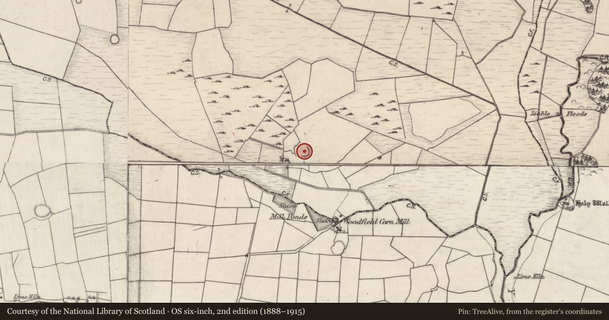 Ordnance Survey six-inch map, 2nd edition (1888–1915) covering the location of Ringfort - rath, Lissyconor, County Galway, with a pin at the register's coordinates