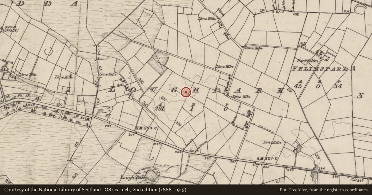 Ordnance Survey six-inch map, 2nd edition (1888–1915) covering the location of Ringfort - unclassified, Loughpark, County Galway, with a pin at the register's coordinates
