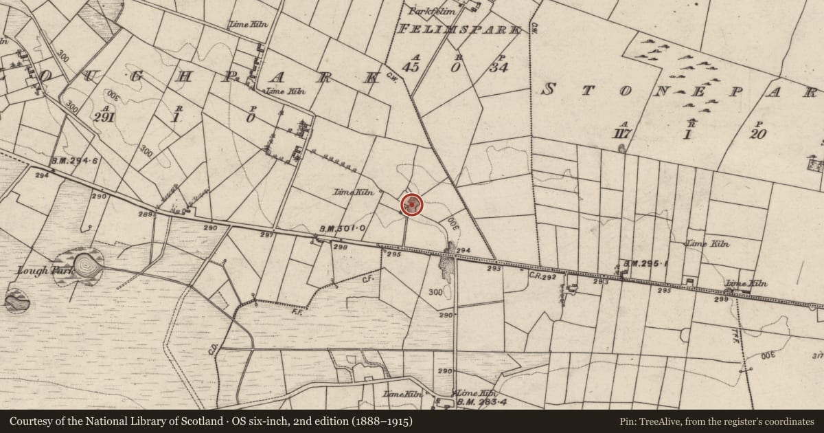 Ordnance Survey six-inch map, 2nd edition (1888–1915) covering the location of Quarry, Loughpark, County Galway, with a pin at the register's coordinates