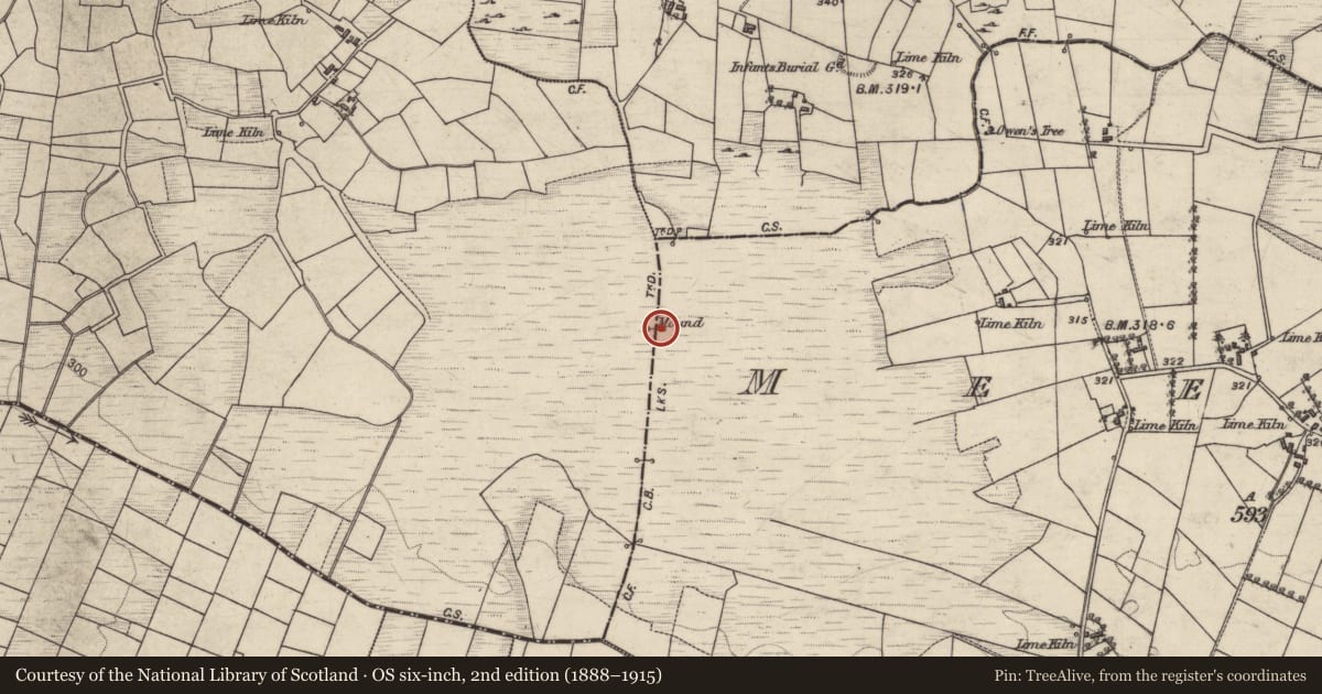 Ordnance Survey six-inch map, 2nd edition (1888–1915) covering the location of Boundary mound, Cloonmaghaura, Meelick, County Galway, with a pin at the register's coordinates