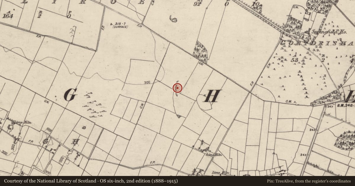 Ordnance Survey six-inch map, 2nd edition (1888–1915) covering the location of Quarry, Pollaneyster, County Galway, with a pin at the register's coordinates