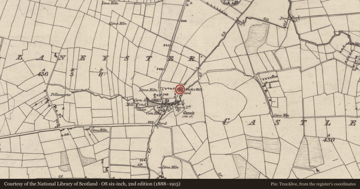 Ordnance Survey six-inch map, 2nd edition (1888–1915) covering the location of Shrine, Pollaneyster, County Galway, with a pin at the register's coordinates