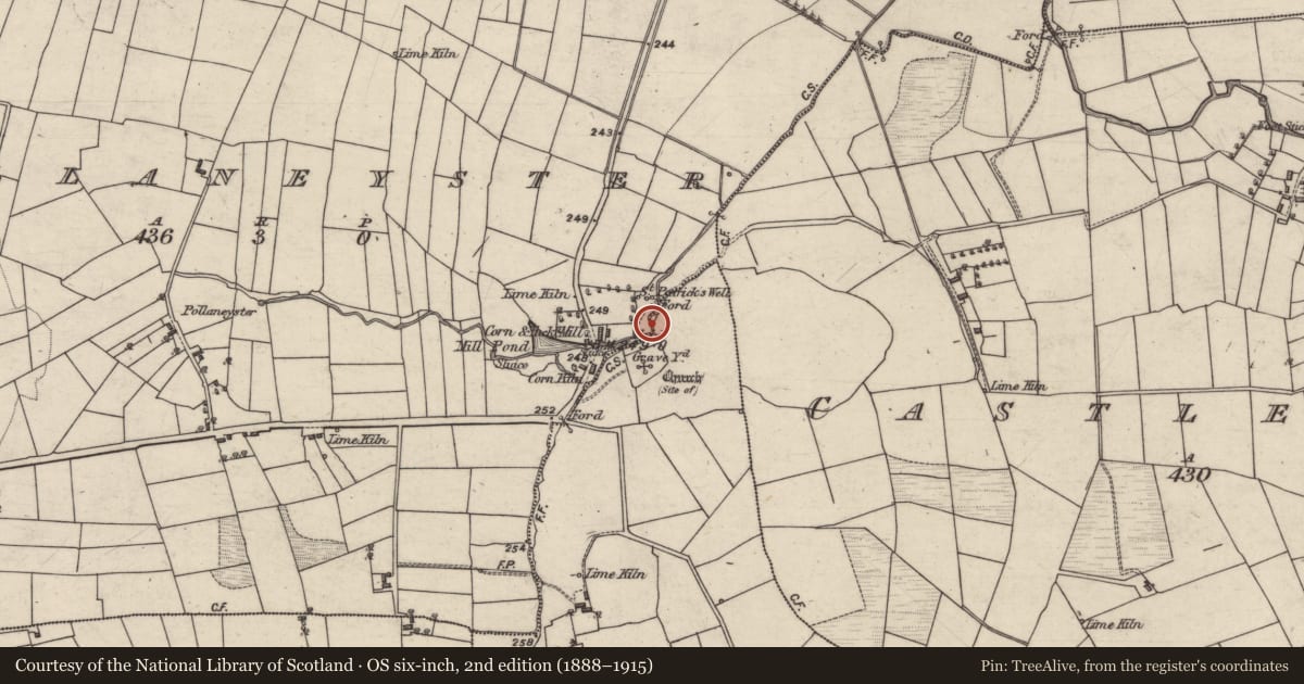Ordnance Survey six-inch map, 2nd edition (1888–1915) covering the location of Bullaun stone, Pollaneyster, County Galway, with a pin at the register's coordinates