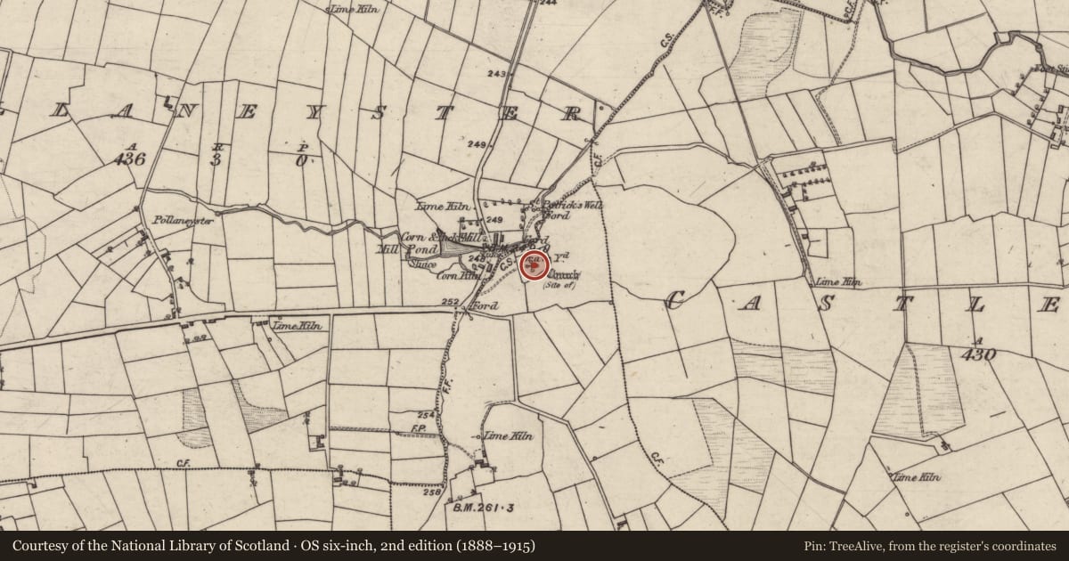 Ordnance Survey six-inch map, 2nd edition (1888–1915) covering the location of Church, Straid, County Galway, with a pin at the register's coordinates