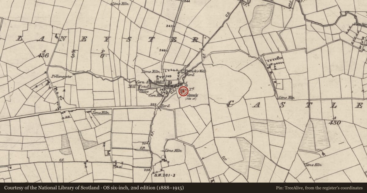Ordnance Survey six-inch map, 2nd edition (1888–1915) covering the location of Graveyard, Straid, County Galway, with a pin at the register's coordinates