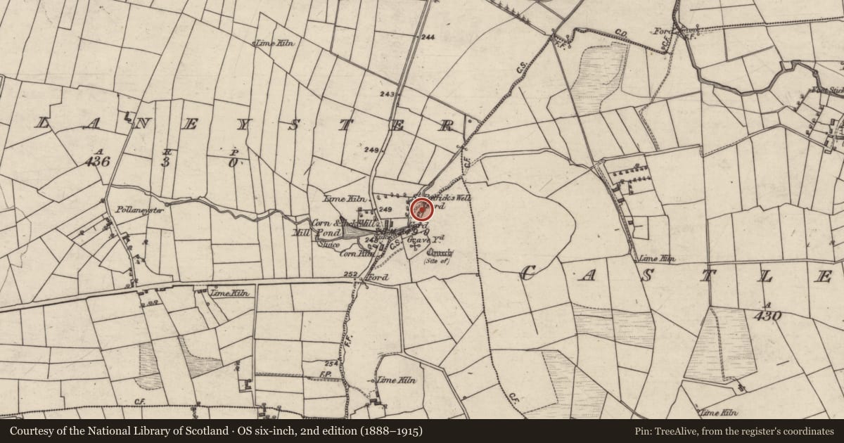 Ordnance Survey six-inch map, 2nd edition (1888–1915) covering the location of Ritual site - holy well, Pollaneyster, County Galway, with a pin at the register's coordinates