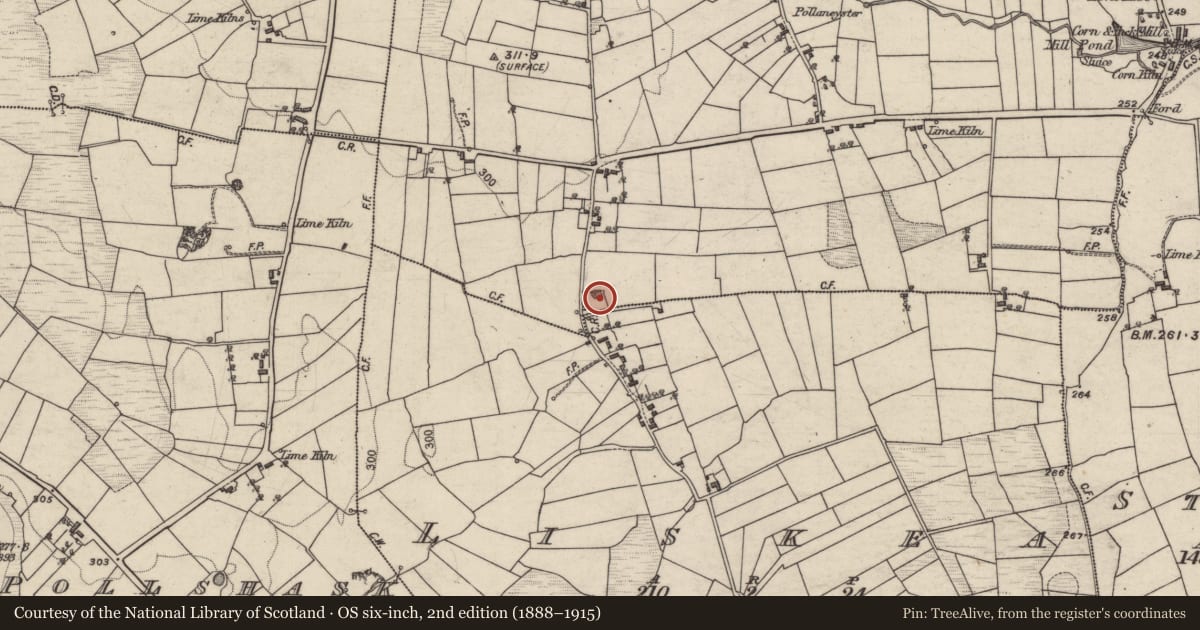 Ordnance Survey six-inch map, 2nd edition (1888–1915) covering the location of Quarry, Pollaneyster, County Galway, with a pin at the register's coordinates