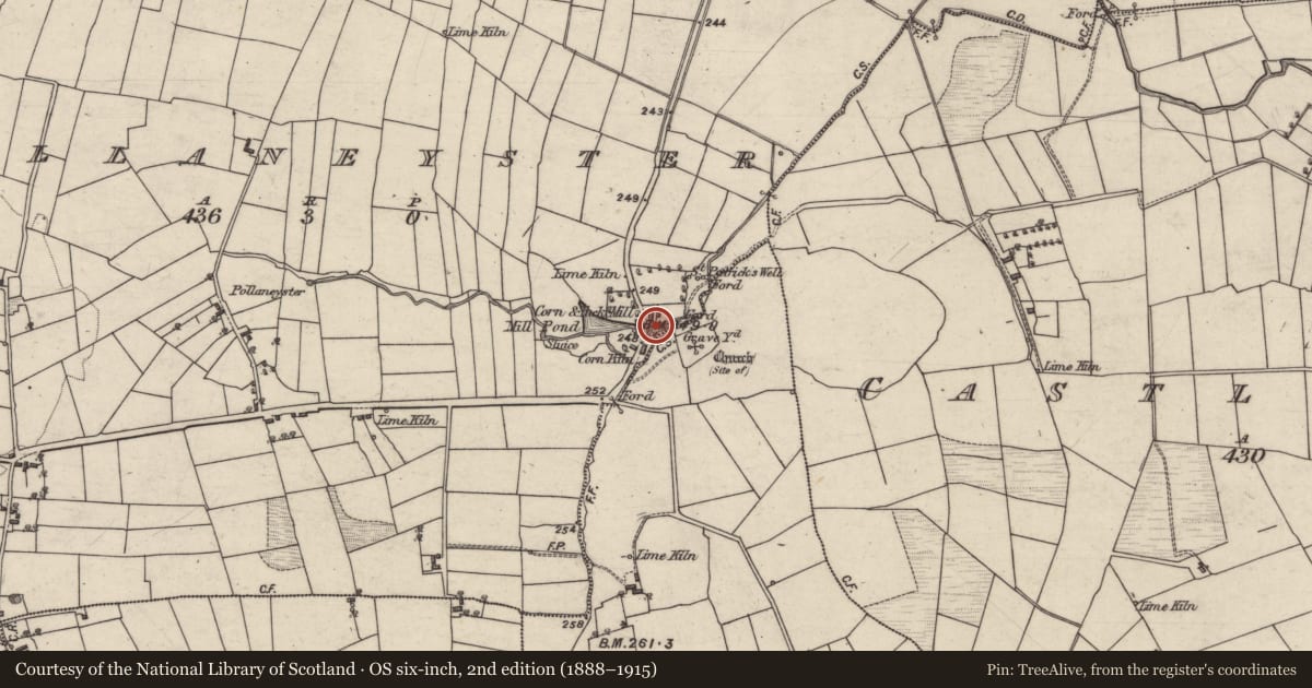 Ordnance Survey six-inch map, 2nd edition (1888–1915) covering the location of Water mill - vertical-wheeled, Pollaneyster, County Galway, with a pin at the register's coordinates