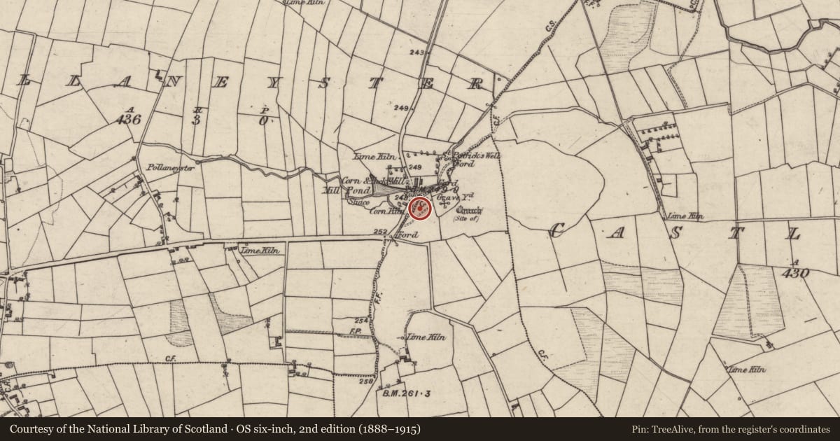 Ordnance Survey six-inch map, 2nd edition (1888–1915) covering the location of Kiln - corn-drying, Pollaneyster, County Galway, with a pin at the register's coordinates