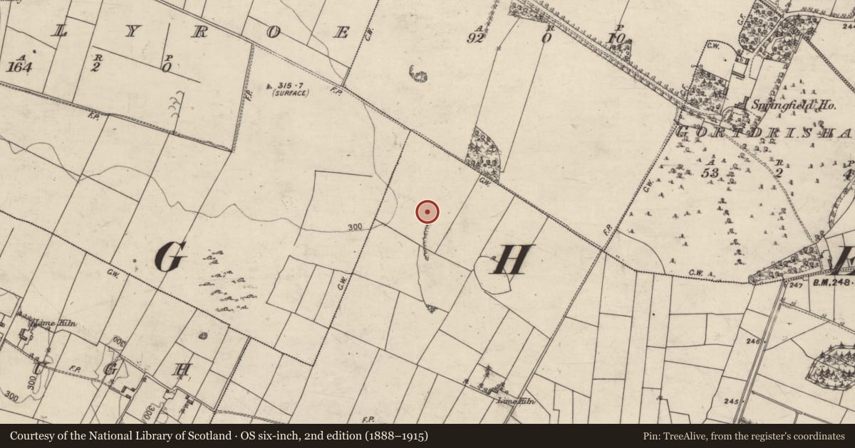 Ordnance Survey six-inch map, 2nd edition (1888–1915) covering the location of Standing stone, Pollaneyster, County Galway, with a pin at the register's coordinates