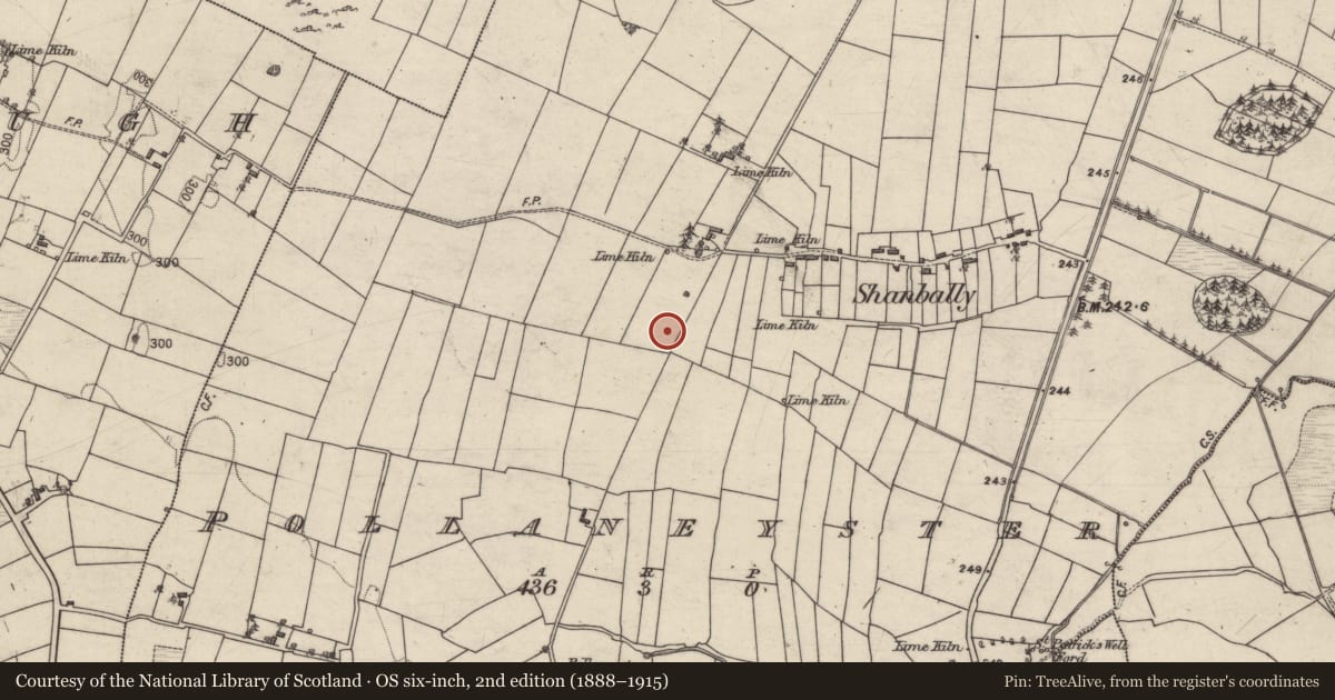 Ordnance Survey six-inch map, 2nd edition (1888–1915) covering the location of Ringfort - unclassified, Pollaneyster, County Galway, with a pin at the register's coordinates