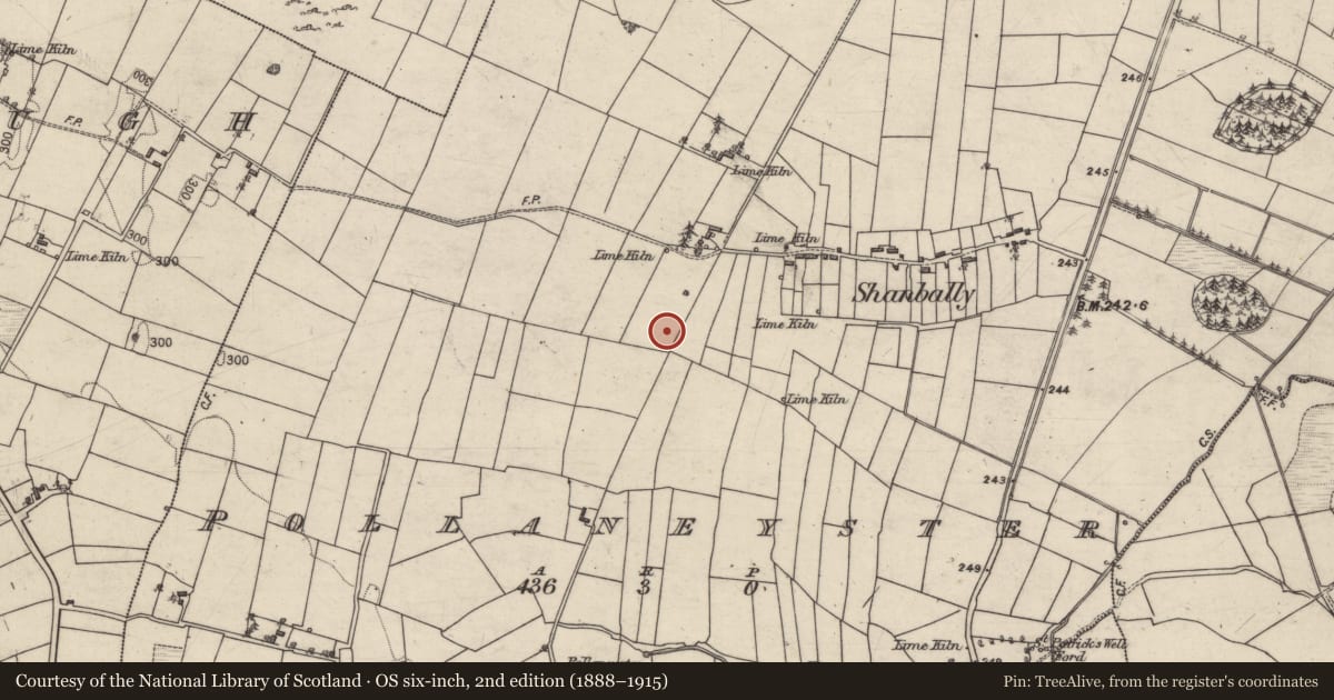 Ordnance Survey six-inch map, 2nd edition (1888–1915) covering the location of Children's burial ground, Pollaneyster, County Galway, with a pin at the register's coordinates