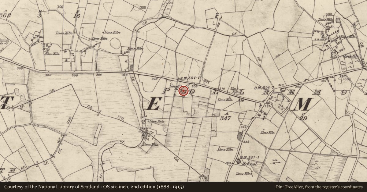 Ordnance Survey six-inch map, 2nd edition (1888–1915) covering the location of Mill - corn, Pollremon, County Galway, with a pin at the register's coordinates