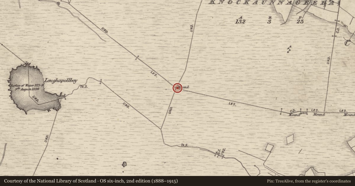Ordnance Survey six-inch map, 2nd edition (1888–1915) covering the location of Boundary mound, County Galway, with a pin at the register's coordinates