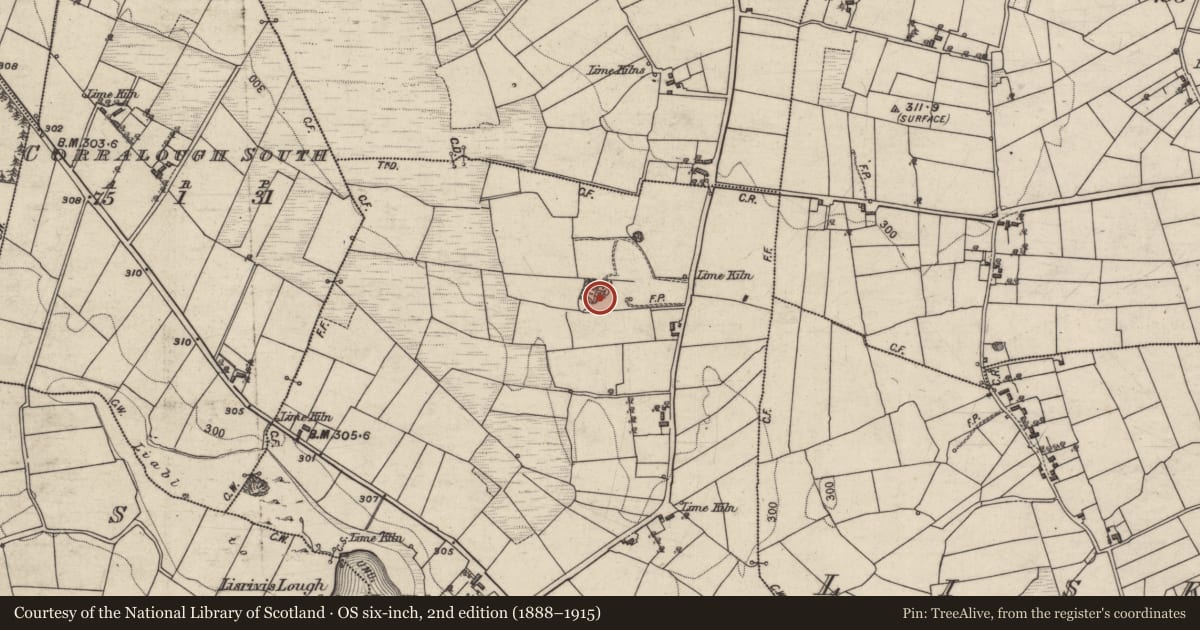 Ordnance Survey six-inch map, 2nd edition (1888–1915) covering the location of Quarry, Pollshask, County Galway, with a pin at the register's coordinates