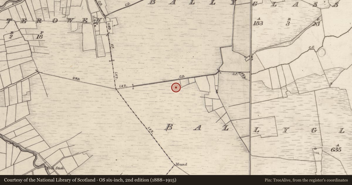 Ordnance Survey six-inch map, 2nd edition (1888–1915) covering the location of Road - class 3 togher, Castletogher, County Galway, with a pin at the register's coordinates