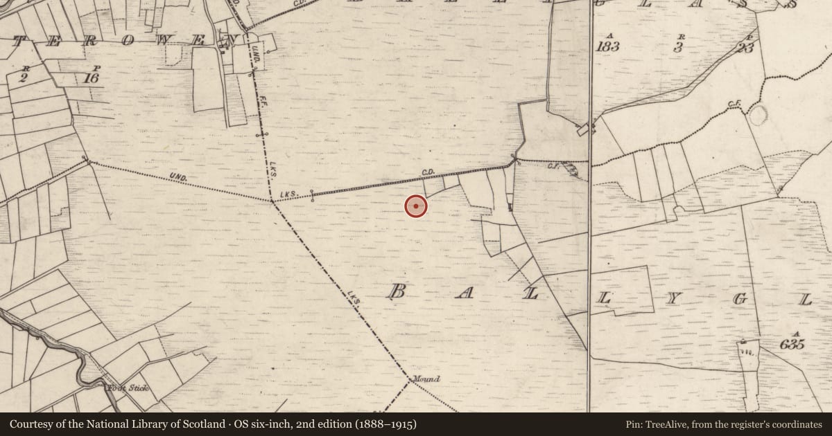 Ordnance Survey six-inch map, 2nd edition (1888–1915) covering the location of Road - class 3 togher, Ballyglass South, County Galway, with a pin at the register's coordinates