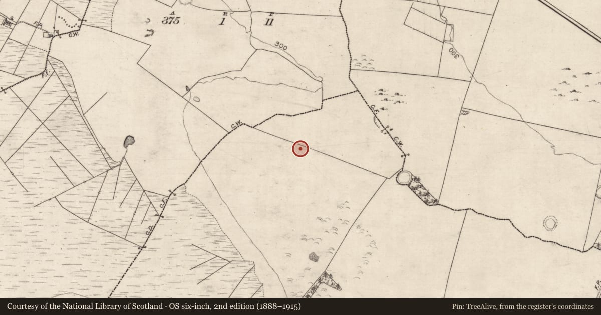 Ordnance Survey six-inch map, 2nd edition (1888–1915) covering the location of Ringfort - rath, Ardagh, County Galway, with a pin at the register's coordinates