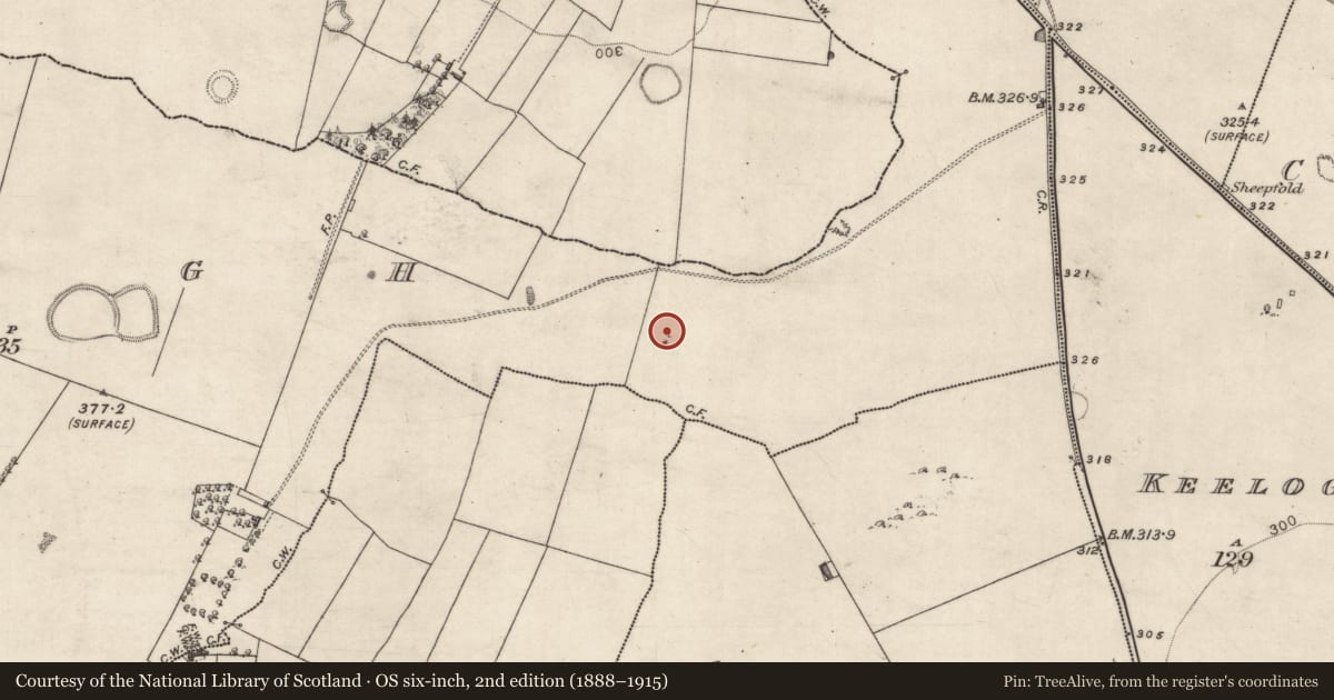 Ordnance Survey six-inch map, 2nd edition (1888–1915) covering the location of Ringfort - rath, Ardagh, County Galway, with a pin at the register's coordinates