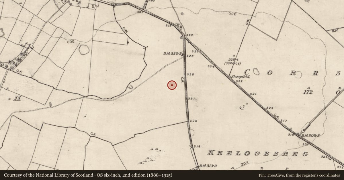 Ordnance Survey six-inch map, 2nd edition (1888–1915) covering the location of Ringfort - unclassified, Ardagh, County Galway, with a pin at the register's coordinates