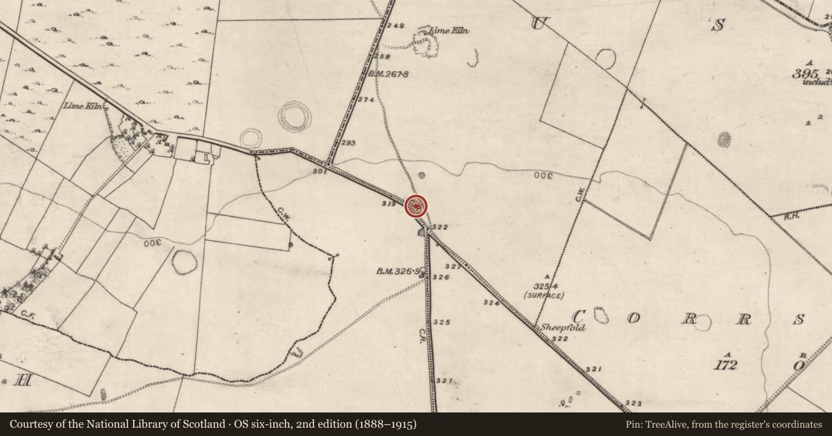Ordnance Survey six-inch map, 2nd edition (1888–1915) covering the location of Ringfort - unclassified, Ardagh, Ussey, County Galway, with a pin at the register's coordinates